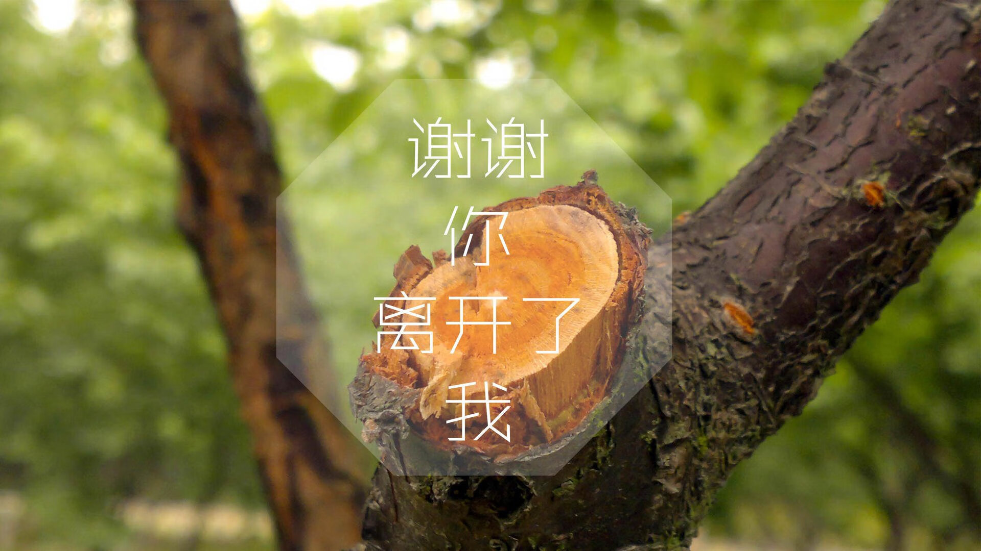 中国篮球职业联赛引入新规则，提升比赛观赏性，我国篮球职业联赛