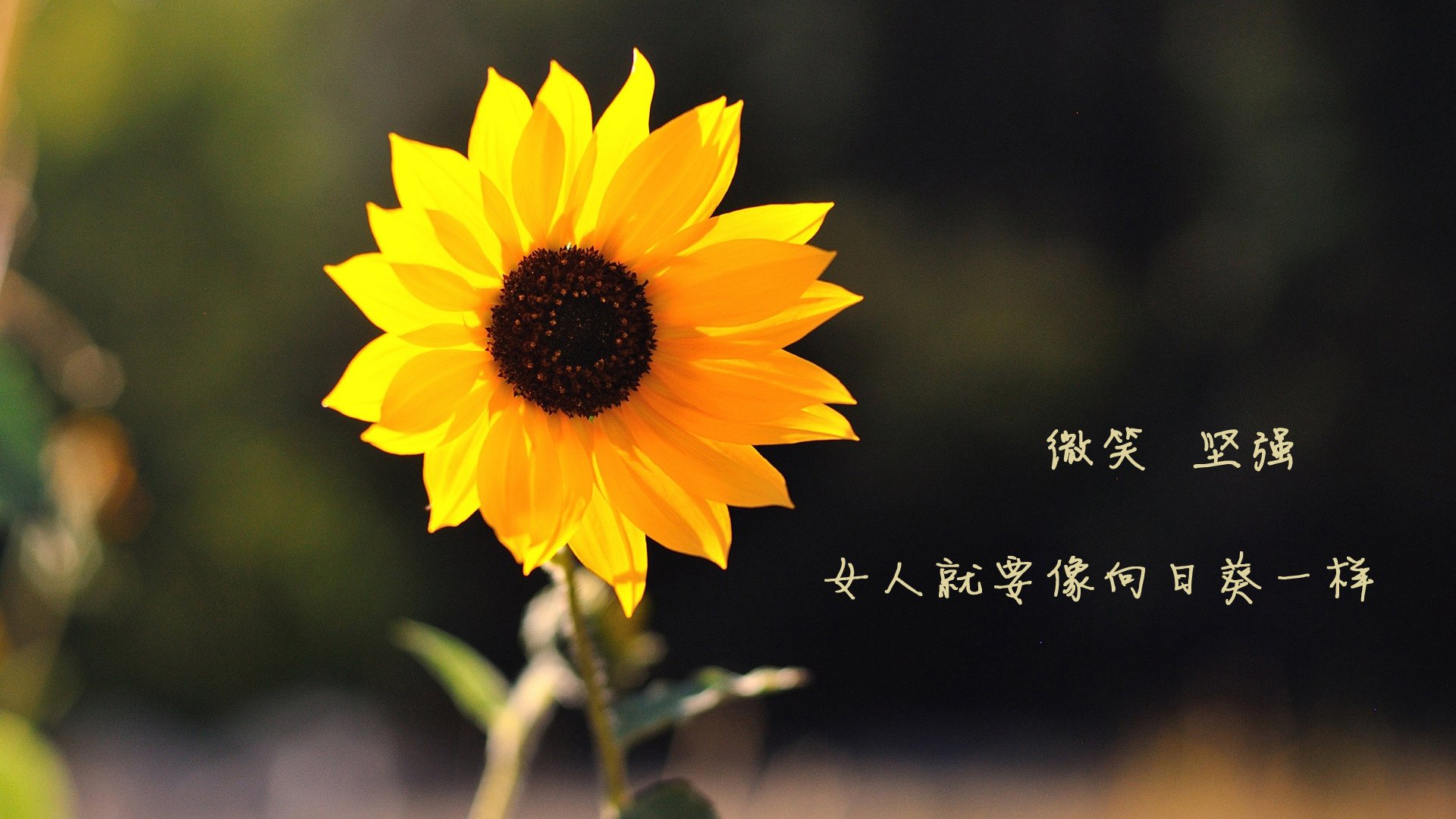 德赢官网ac米兰-团队协作：完美配合助推胜利的绝佳法宝，团队协作句子经典语录