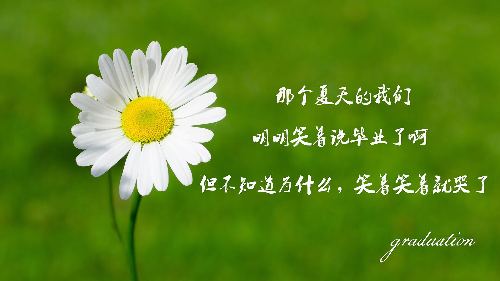 未来联盟：比赛中引入全息投影的可能性探讨，未来全息投影技术