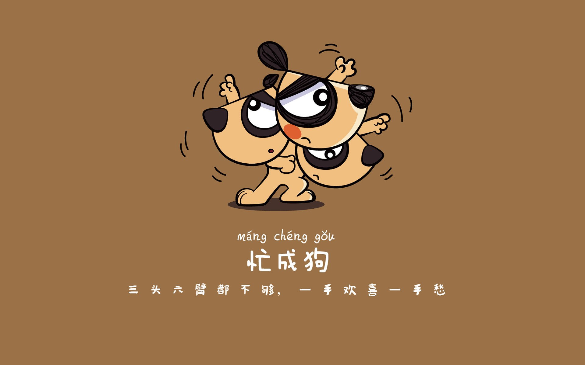 德赢集团-沙尔克主教练承担责任，不惧困境，沙尔克球队怎么样