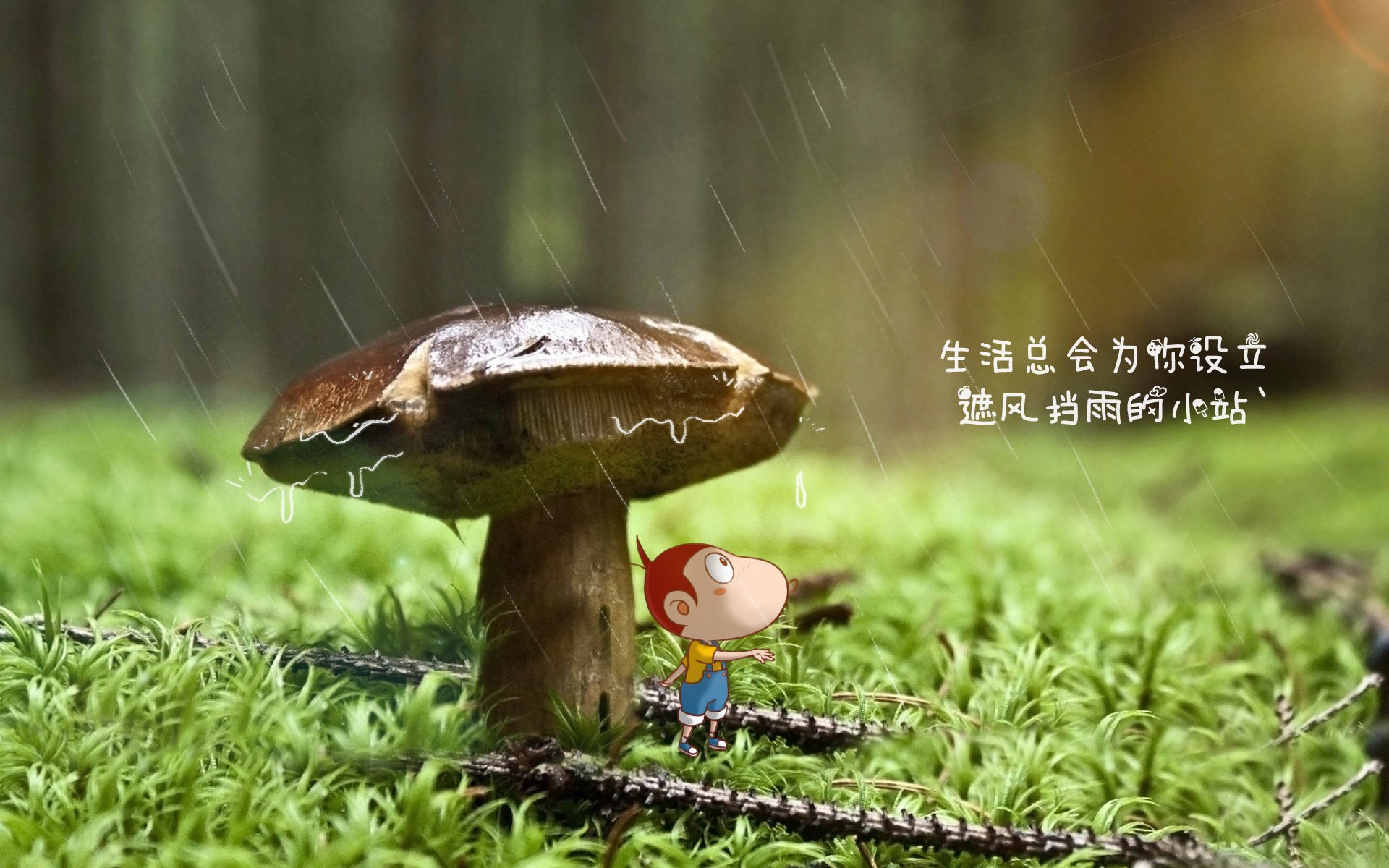 欧洲超级联赛：夺冠热门球队的战前统计分析，欧洲超级联赛队伍