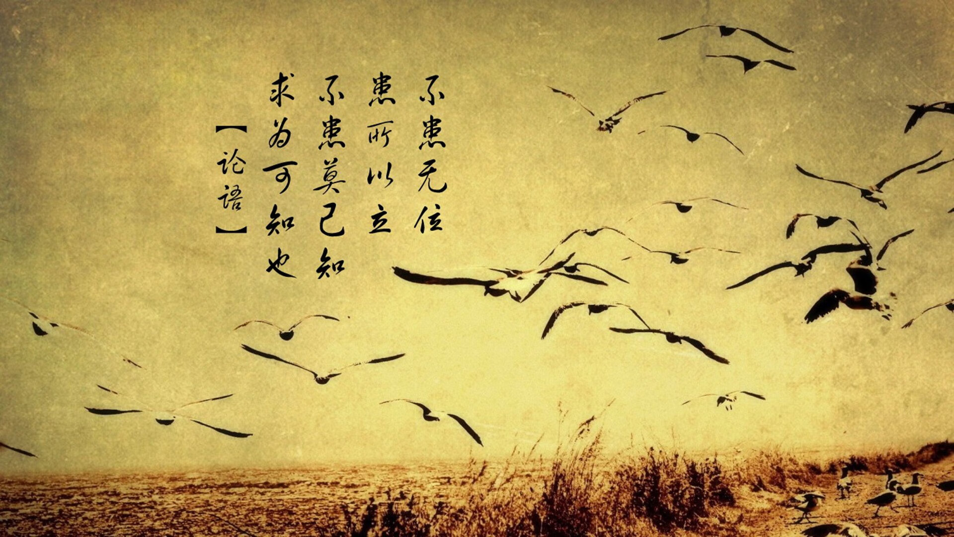 德赢体育官网入口登陆-观众互动体验创新增强赛事吸引力，观众互动游戏有哪些
